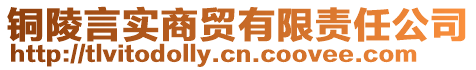 銅陵言實(shí)商貿(mào)有限責(zé)任公司