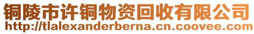 銅陵市許銅物資回收有限公司