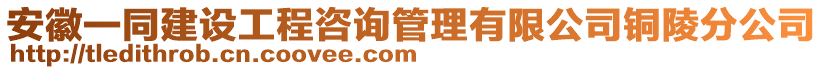 安徽一同建設(shè)工程咨詢管理有限公司銅陵分公司