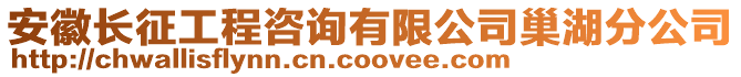 安徽長征工程咨詢有限公司巢湖分公司