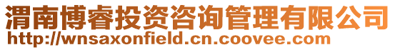 渭南博睿投資咨詢管理有限公司