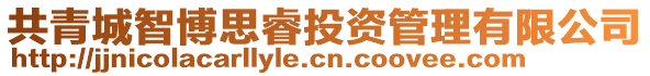 共青城智博思睿投資管理有限公司