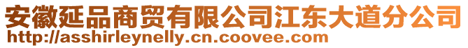 安徽延品商貿有限公司江東大道分公司