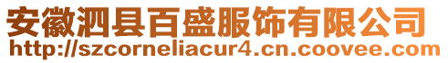 安徽泗縣百盛服飾有限公司