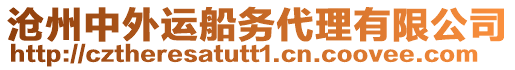 滄州中外運(yùn)船務(wù)代理有限公司