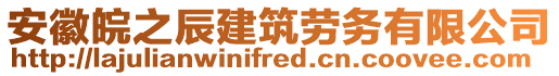 安徽皖之辰建筑勞務(wù)有限公司