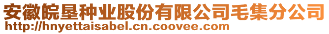 安徽皖墾種業(yè)股份有限公司毛集分公司