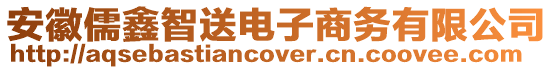 安徽儒鑫智送電子商務(wù)有限公司