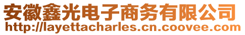 安徽鑫光電子商務(wù)有限公司