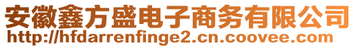 安徽鑫方盛電子商務(wù)有限公司