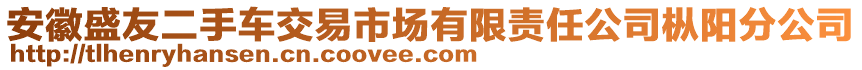 安徽盛友二手車交易市場有限責(zé)任公司樅陽分公司