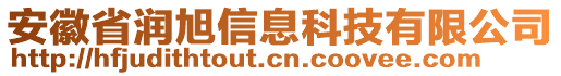 安徽省潤旭信息科技有限公司