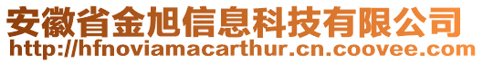 安徽省金旭信息科技有限公司