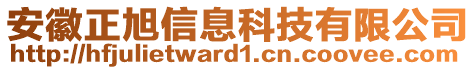 安徽正旭信息科技有限公司