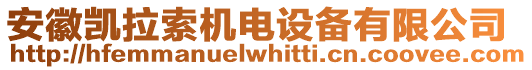 安徽凱拉索機電設(shè)備有限公司