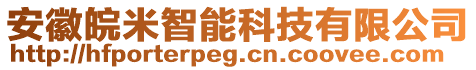 安徽皖米智能科技有限公司