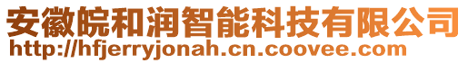 安徽皖和潤智能科技有限公司