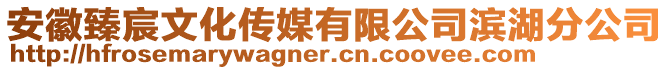 安徽臻宸文化傳媒有限公司濱湖分公司