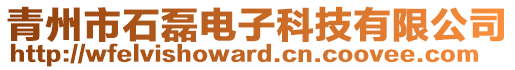 青州市石磊電子科技有限公司