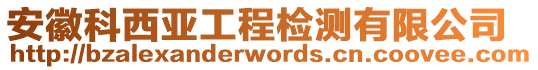 安徽科西亞工程檢測有限公司