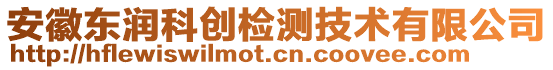 安徽東潤科創(chuàng)檢測技術(shù)有限公司