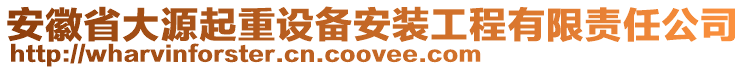 安徽省大源起重設(shè)備安裝工程有限責(zé)任公司