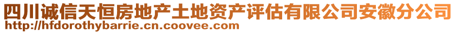 四川誠信天恒房地產(chǎn)土地資產(chǎn)評估有限公司安徽分公司