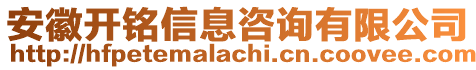 安徽開銘信息咨詢有限公司