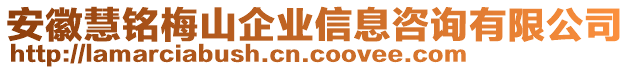 安徽慧銘梅山企業(yè)信息咨詢有限公司