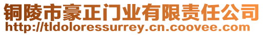 銅陵市豪正門業(yè)有限責(zé)任公司