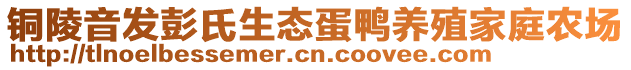 銅陵音發(fā)彭氏生態(tài)蛋鴨養(yǎng)殖家庭農(nóng)場