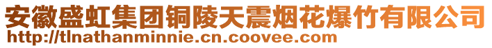 安徽盛虹集團(tuán)銅陵天震煙花爆竹有限公司