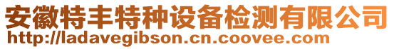 安徽特豐特種設(shè)備檢測(cè)有限公司