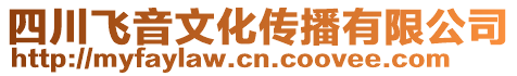 四川飛音文化傳播有限公司