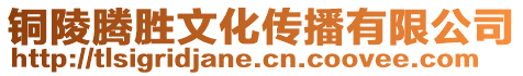 銅陵騰勝文化傳播有限公司