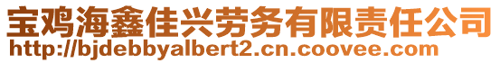 寶雞海鑫佳興勞務(wù)有限責(zé)任公司