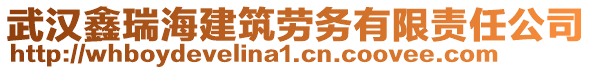 武漢鑫瑞海建筑勞務(wù)有限責(zé)任公司