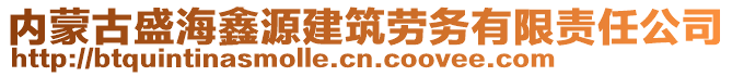 內(nèi)蒙古盛海鑫源建筑勞務(wù)有限責(zé)任公司