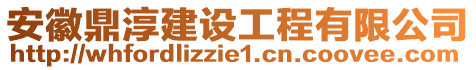 安徽鼎淳建設(shè)工程有限公司