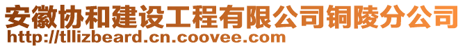 安徽協(xié)和建設(shè)工程有限公司銅陵分公司