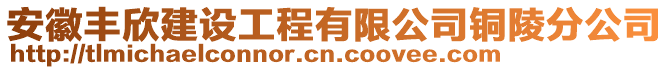 安徽豐欣建設(shè)工程有限公司銅陵分公司