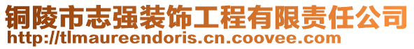 銅陵市志強裝飾工程有限責任公司