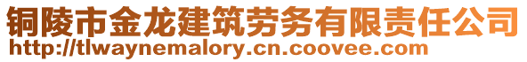 銅陵市金龍建筑勞務(wù)有限責(zé)任公司