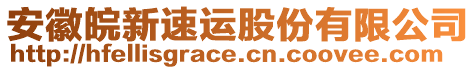 安徽皖新速運(yùn)股份有限公司