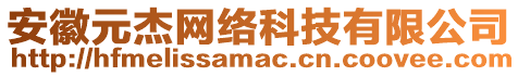 安徽元杰網(wǎng)絡(luò)科技有限公司