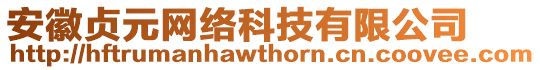 安徽貞元網(wǎng)絡(luò)科技有限公司