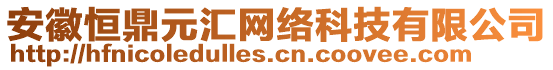 安徽恒鼎元匯網(wǎng)絡(luò)科技有限公司