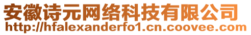 安徽詩(shī)元網(wǎng)絡(luò)科技有限公司