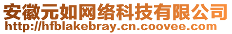 安徽元如網(wǎng)絡(luò)科技有限公司