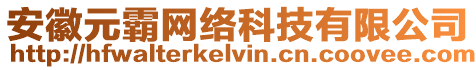 安徽元霸網(wǎng)絡科技有限公司